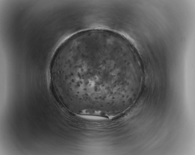 X0000094191271200711091154