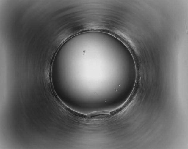 X0000094191273200711091154