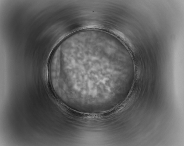 X0000094191274200711091154