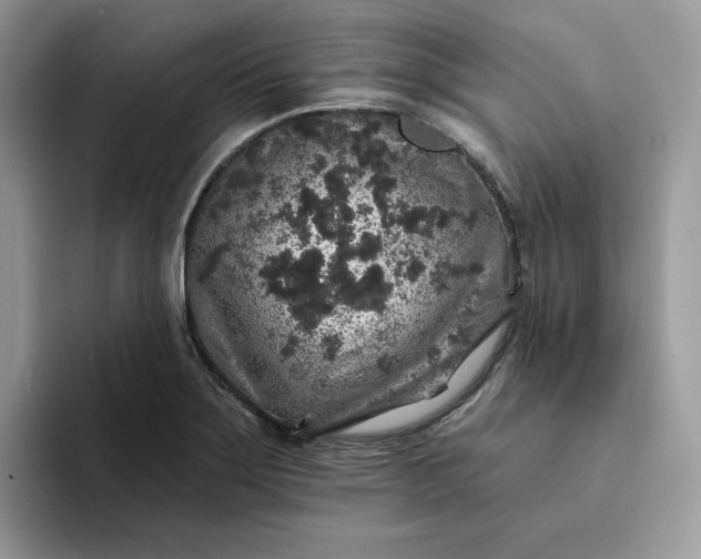 X0000094191275200711091154