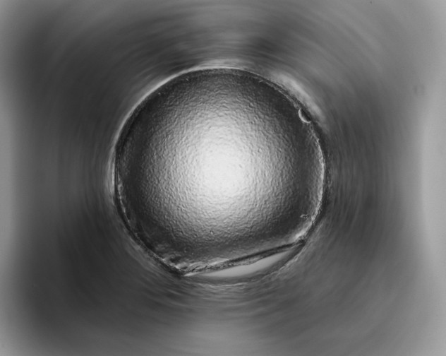 X0000094191276200711091154