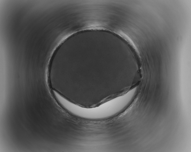 X0000094191277200711091154