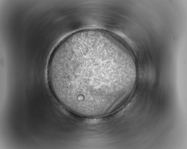 X0000094191278200711091154