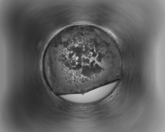 X0000094191279200711091154