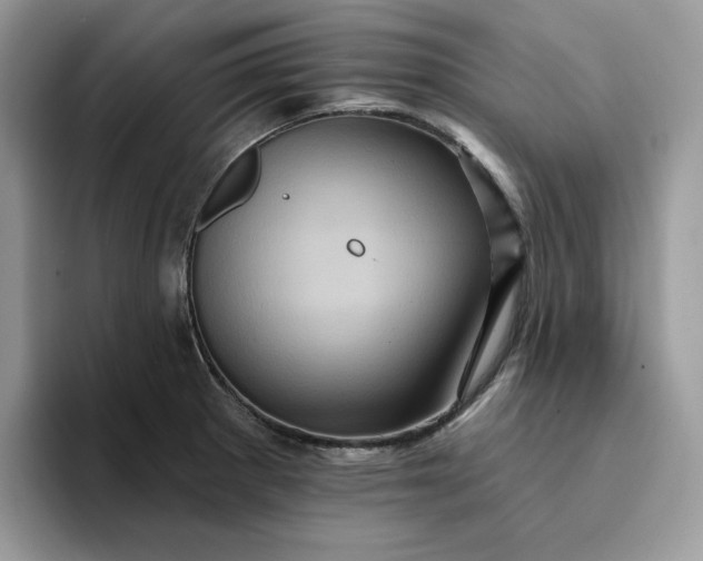 X0000094191281200711091154