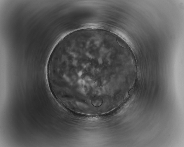 X0000094191283200711091154