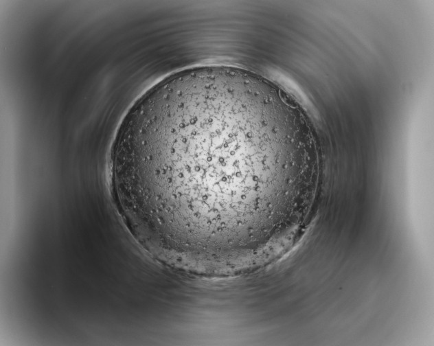 X0000094191284200711091154