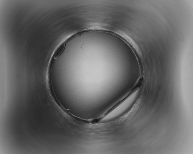 X0000094191285200711091154