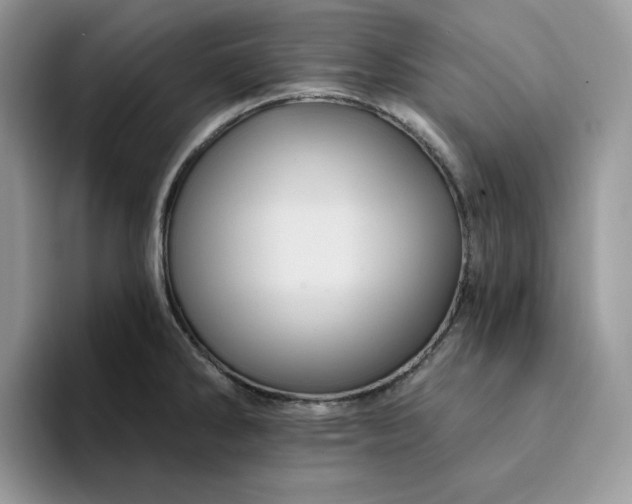 X0000094191286200711091154