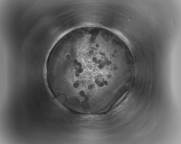 X0000094191287200711091154