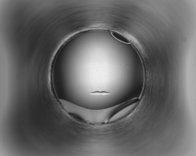 X0000094191288200711091154