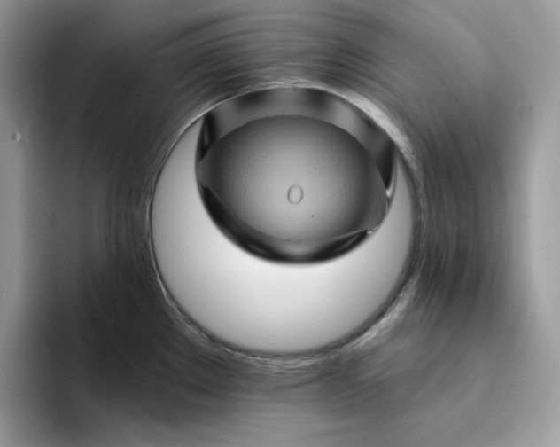 X0000094191289200711091154