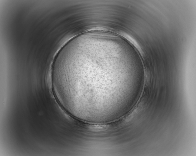 X0000094191290200711091154