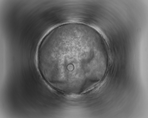 X0000094191294200711091154