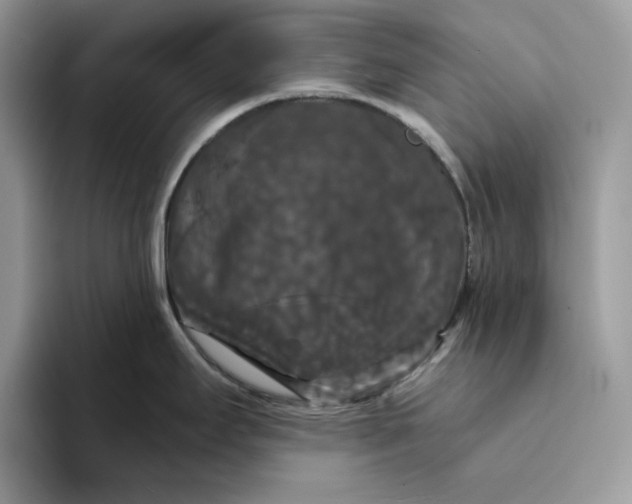 X0000094191295200711091154