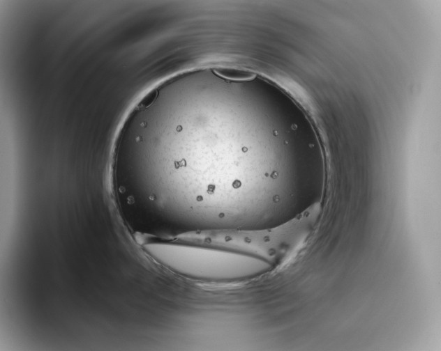 X0000094191296200711091154