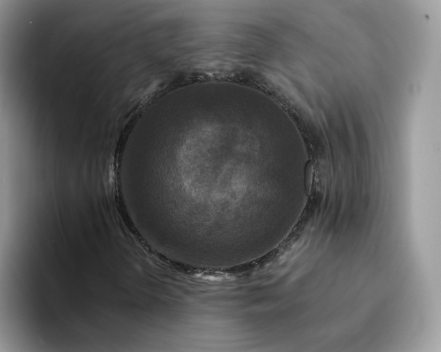 X0000094191298200711091153