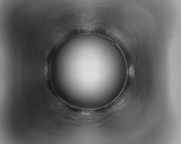 X0000094191299200711091153