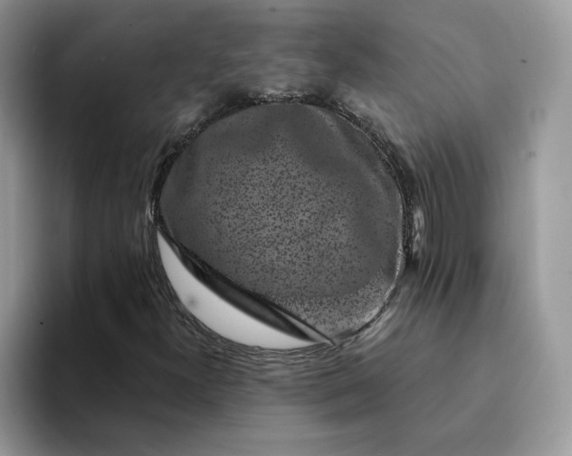 X0000094191300200711091153