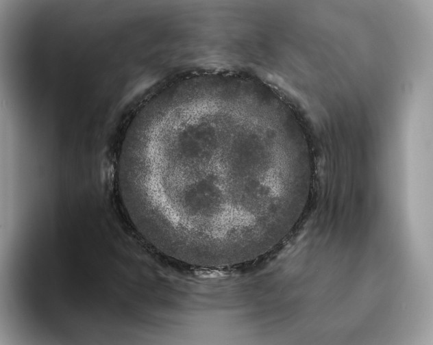 X0000094191302200711091153