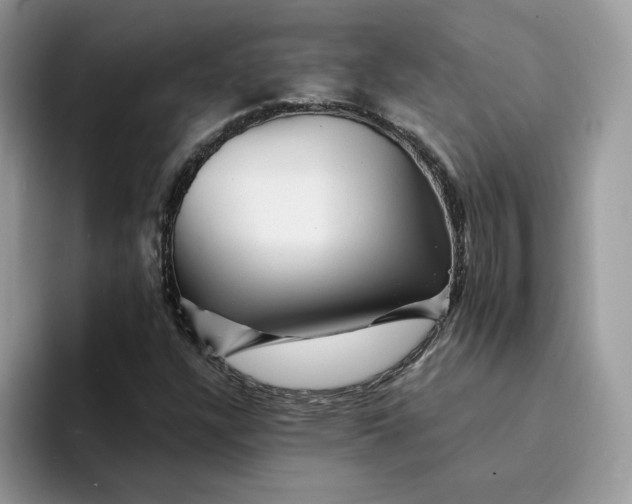 X0000094191304200711091153