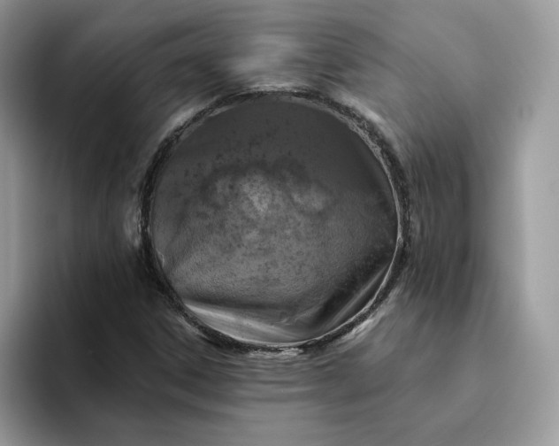 X0000094191306200711091153