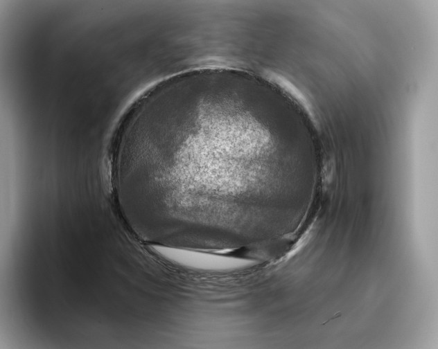 X0000094191310200711091153