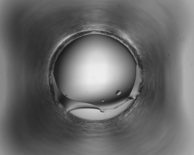 X0000094191312200711091153