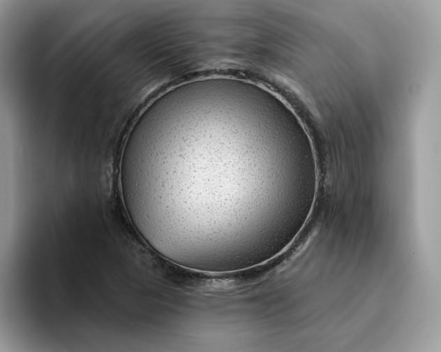 X0000094191313200711091153