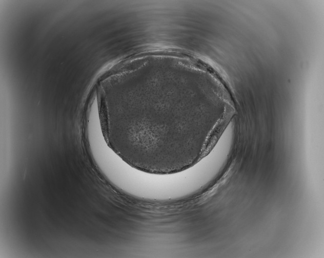 X0000094191314200711091153