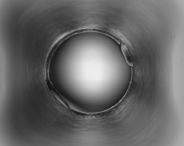 X0000094191316200711091153