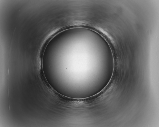 X0000094191317200711091153