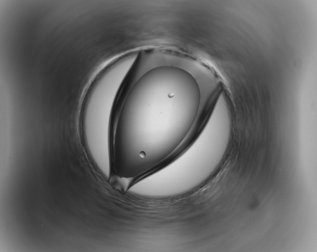 X0000094191320200711091153