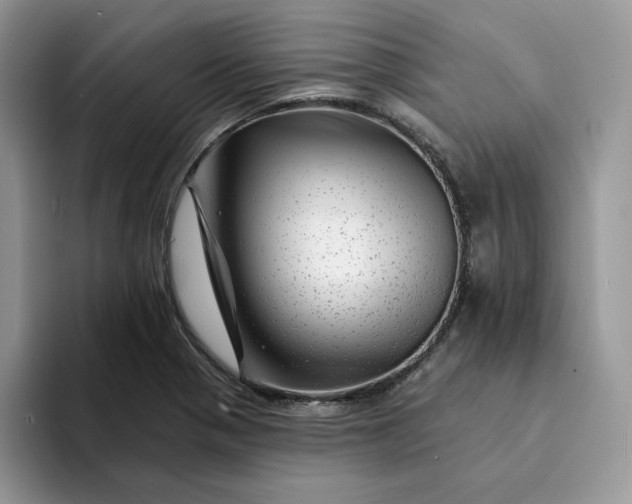 X0000094191321200711091153