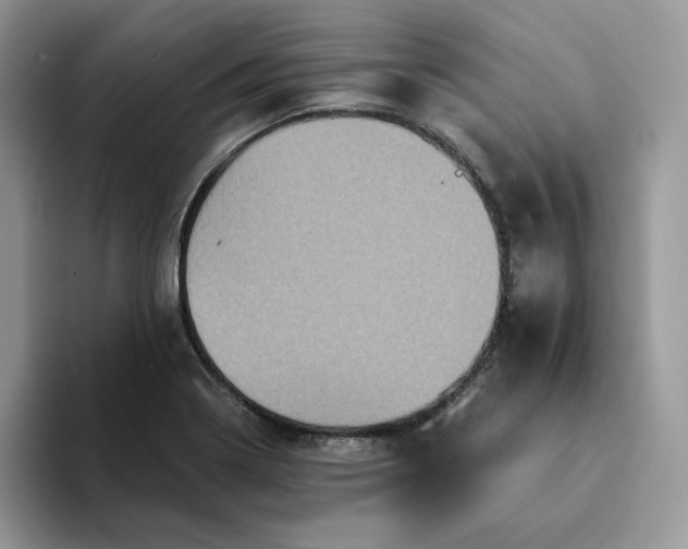 X0000094191322200711091153