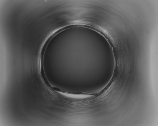 X0000094191323200711091153