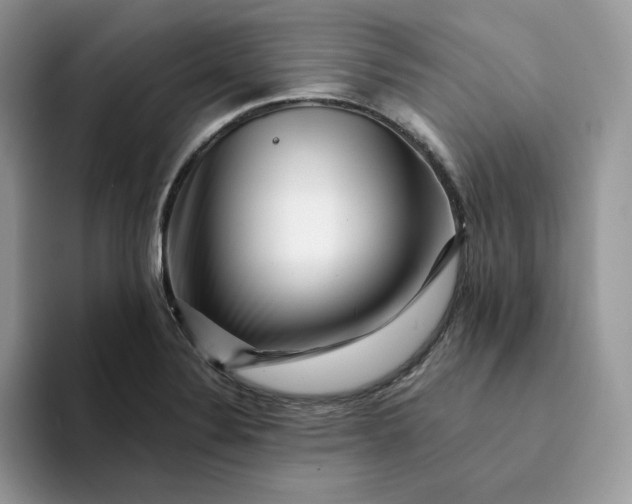 X0000094191324200711091153