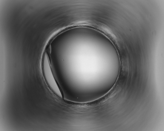 X0000094191328200711091154