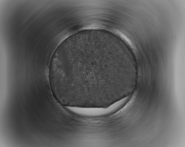 X0000094191329200711091154