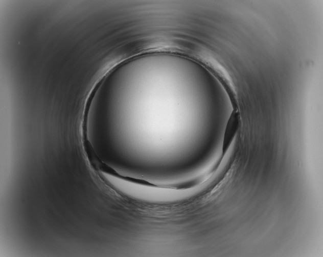 X0000094191330200711091154