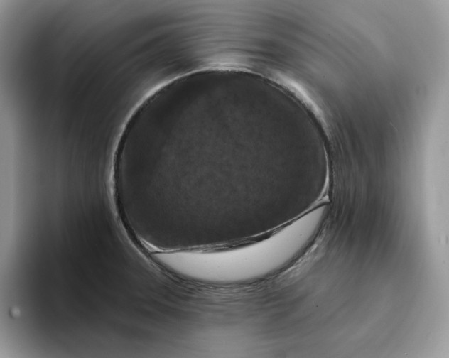 X0000094191331200711091154