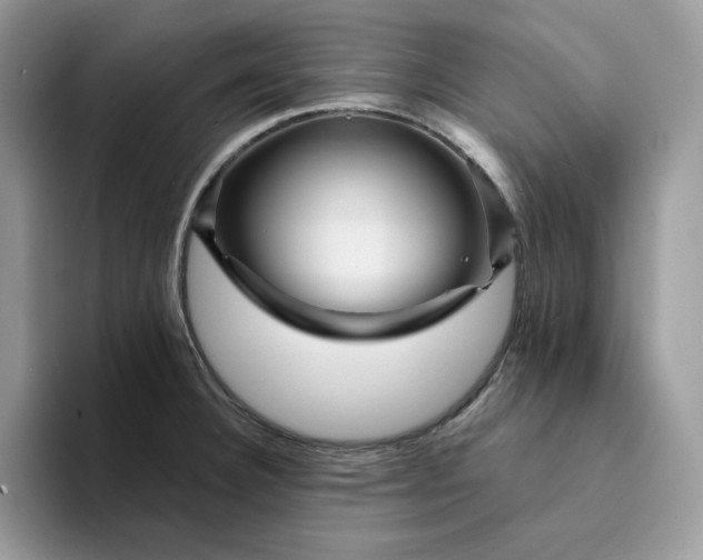 X0000094191332200711091154