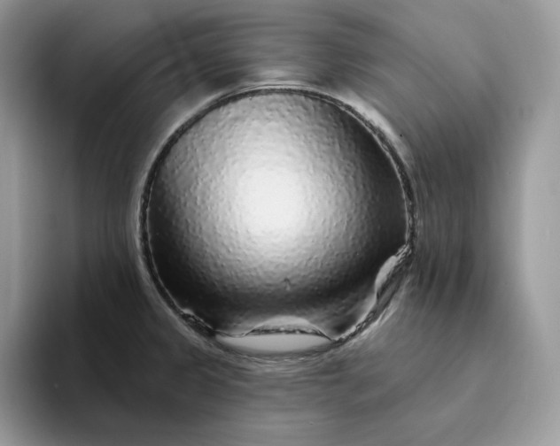 X0000094191333200711091154