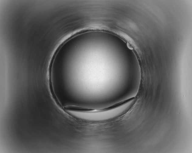 X0000094191335200711091154