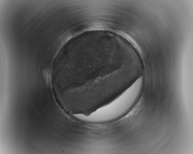 X0000094191337200711091154