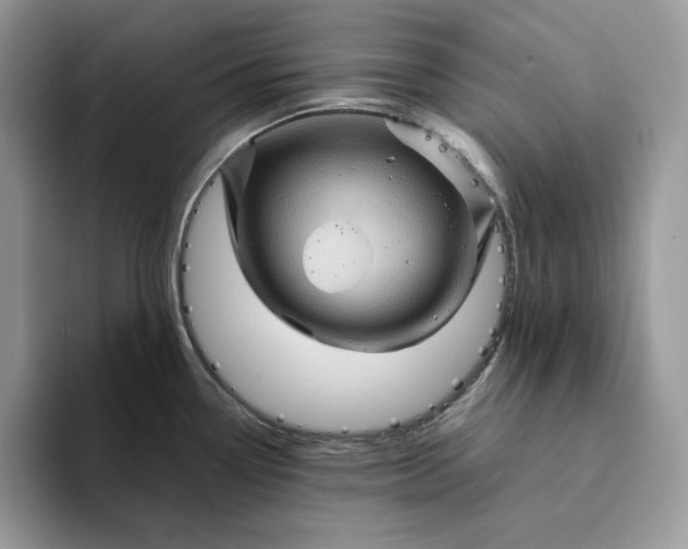 X0000094191338200711091154