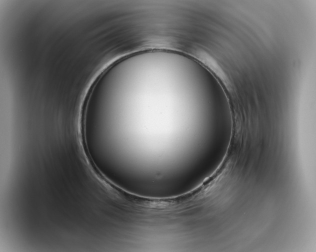 X0000094191339200711091154