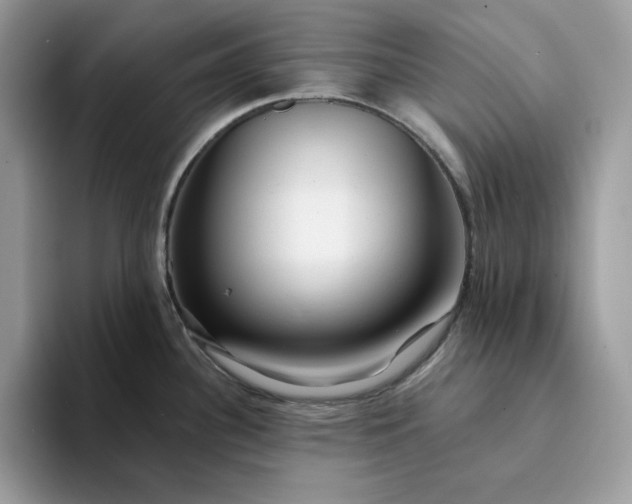 X0000094191340200711091154