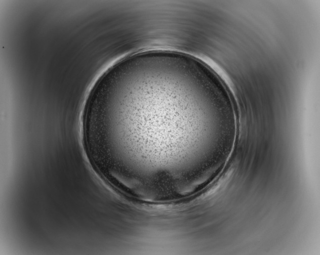 X0000094191341200711091154