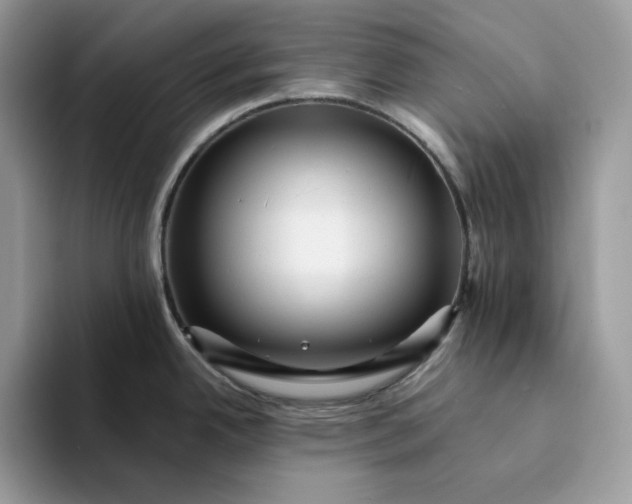 X0000094191342200711091154